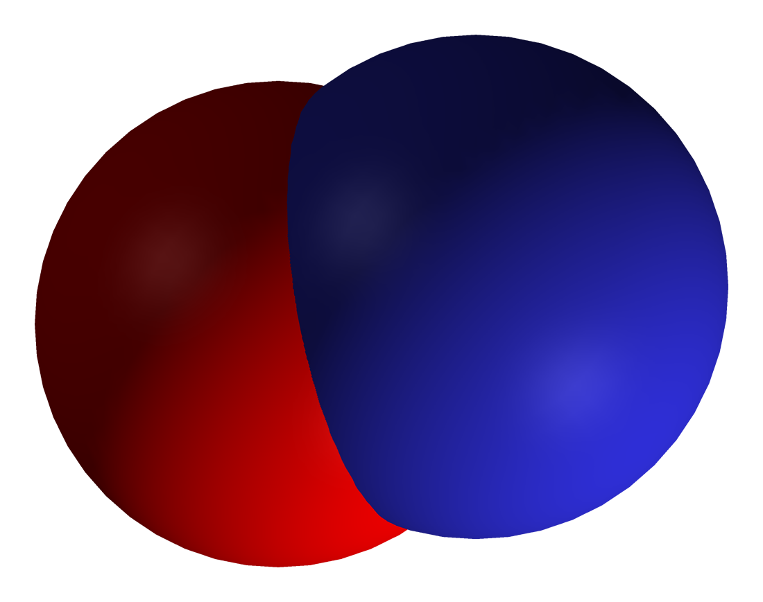 Nitric Oxide